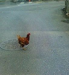 また、あなたですか・・・(# ̄ ▽. ̄#)