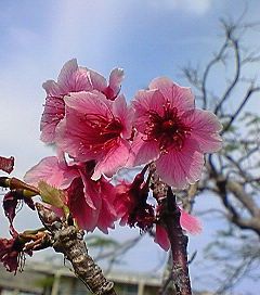 遠いのか、近いのか・・・