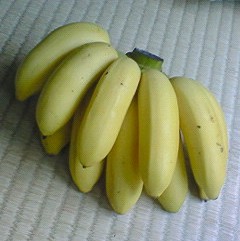 島バナナ初収穫♪