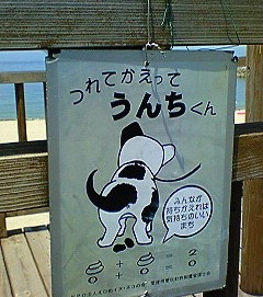 公然わいせつ罪(-。-;)