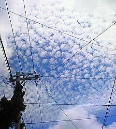 ( Θ)ノ( Θ)ノ( Θ)ノオハオハオハ♪