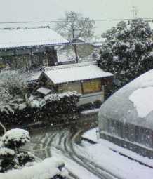 気温差22度ヽ(*0*)ツ