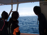 癒し癒し癒し☆ 2008/05/19 16:08:07