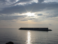 今朝の海