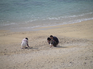 沖縄北部　民宿