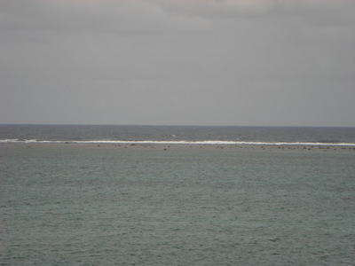 沖縄宜野座のビーチのリーフ