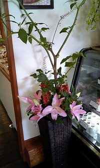 マイクロトマト？！ 2008/06/23 13:35:23