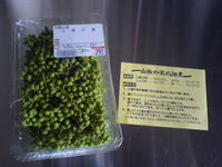 初挑戦！山椒の実の佃煮 2007/06/04 22:43:55
