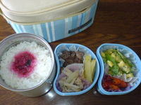 3/13のお弁当＋デザート☆ 2007/03/13 19:56:01