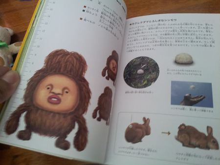 こびと観察入門