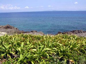 11月の現在状況