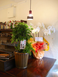 明日オープン!!
