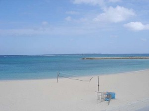明日、一時帰京