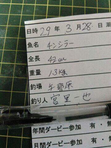 釣果報告 釣果報告