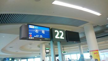 石垣日帰り弾丸応援ツアー 石垣日帰り弾丸応援ツアー