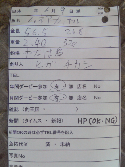 釣果報告