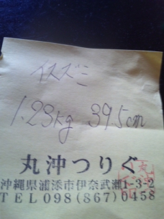 釣果報告&打ち上げ情報