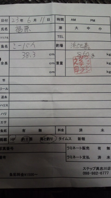 釣果報告