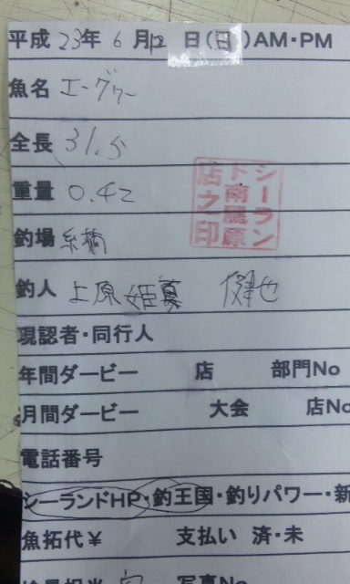 釣果報告