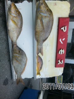 釣果報告