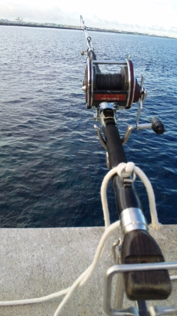 釣果報告