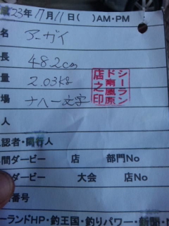 釣果報告