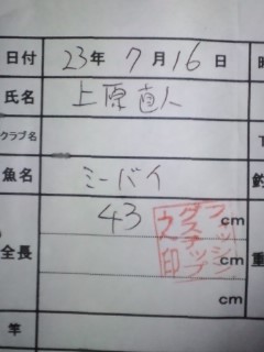 釣果報告