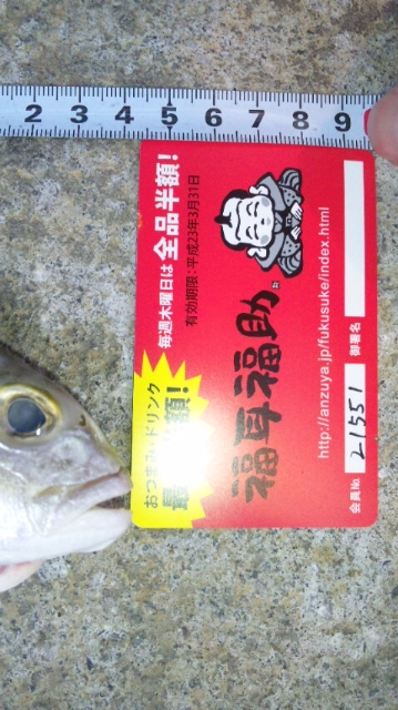 釣果報告