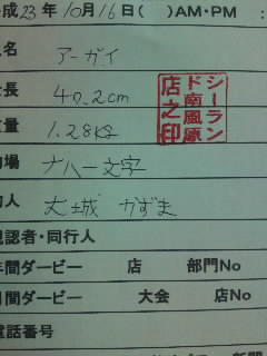 釣果報告