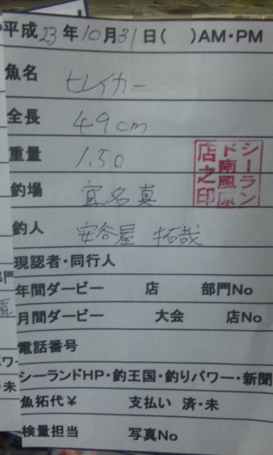 釣果報告
