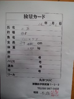 釣果報告&エントリー紹介
