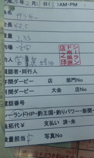 釣果報告
