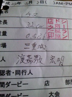 釣果報告