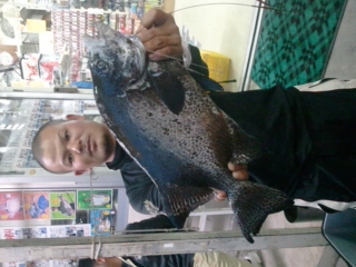 釣果報告