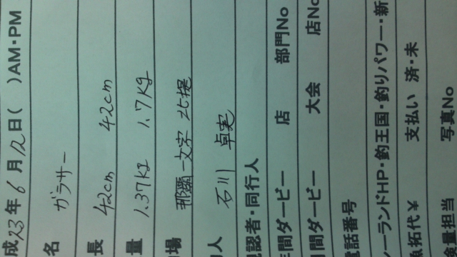 釣果報告