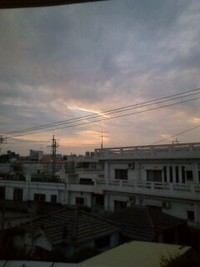 朝です。