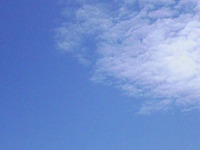 梅雨の晴れ間 2008/06/02 13:53:59