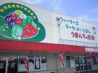 糸満＆豊見城 2008/06/12 02:01:22