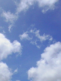 速報！ 2008/06/17 14:35:07