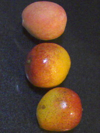 これから？ 2008/06/27 11:47:45