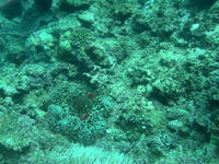 宮古島旅行② 2008/08/18 12:21:54