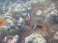 宮古島旅行③ 2008/08/20 10:42:00