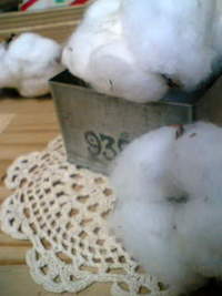 ＳＡＬＥ 2008/07/12 19:01:11
