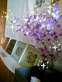 蘭 2008/07/19 11:20:29