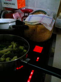 お知らせ 2008/08/11 11:22:20