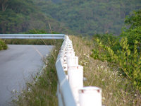 やんばるの奥の細道