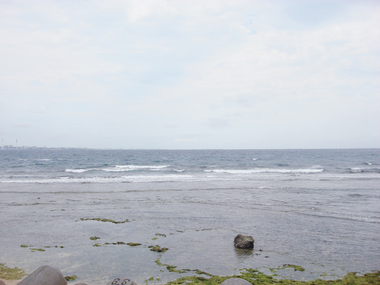 琉球の島沖縄そば