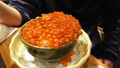 飲み会の様子 飲み会の様子