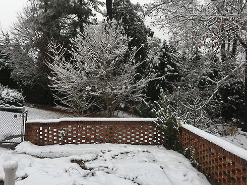 雪 雪
