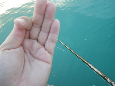 太刀魚釣りと沖縄の小タコ（しがやぁ～ダコ）釣りの話